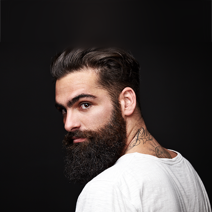 <span style="font-weight: bold;">Andrés Piedra&nbsp;</span><br>